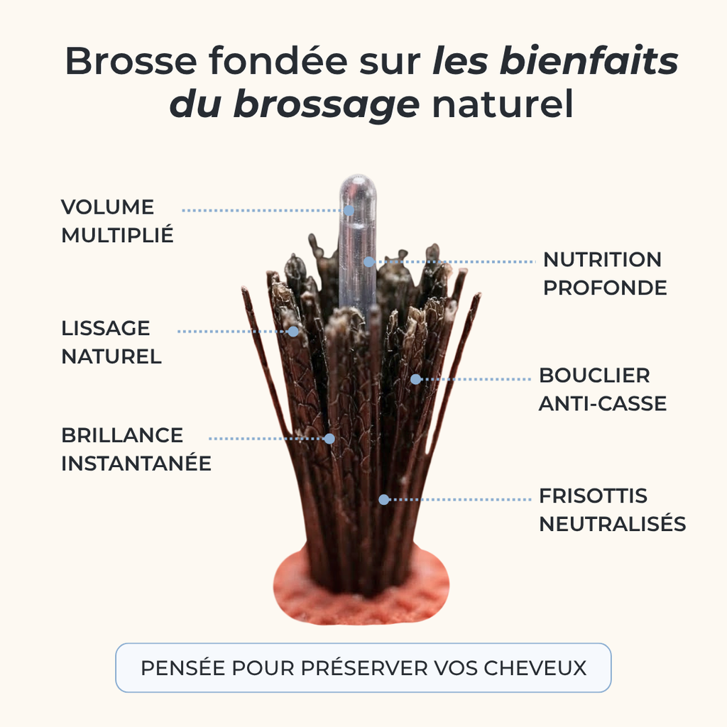 Brosse en poils de sanglier