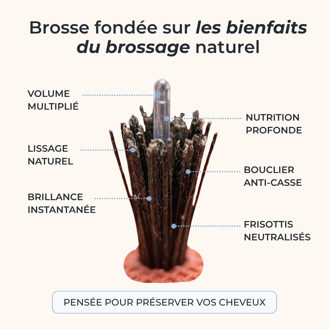 Brosse en poils de sanglier