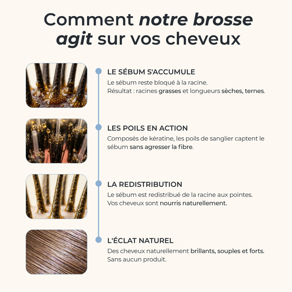 Brosse en poils de sanglier
